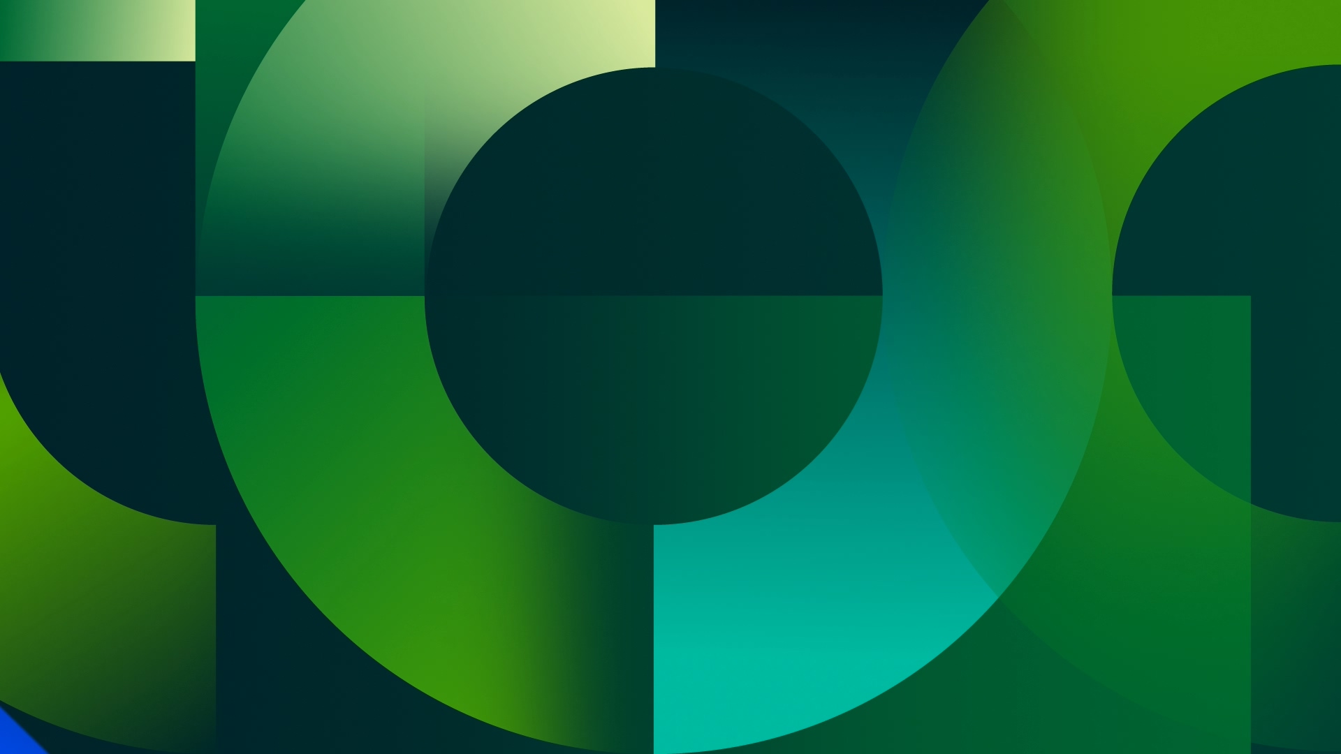 JTBC Network Design Renewal — 07